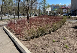 Благоустройство клумбы по улице Суханова, Уссурийск
